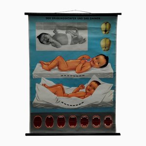 Vintage Infant Body and Tooth Growth Medical Poster Pull Down Wall Chart