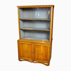 Vintage Display Cabinet with Gray Inside, 1950s