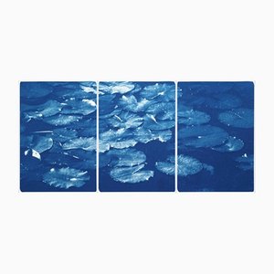 Lilypad Pond Triptych, 2021, Cyanotype on Watercolor Paper