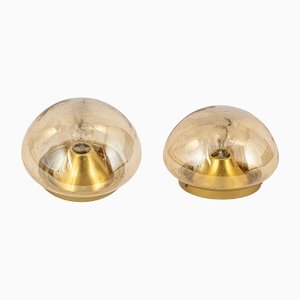 Glass Ceiling Wall Light from Hoffmeister, Germany, 1960s