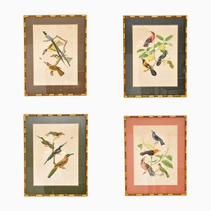 Victorian Ornithological Lithographs, Framed, Set of 4