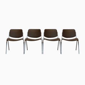 DSC Dining Chairs by Giancarlo Piretti for Castelli / Anonima Castelli, Set of 12