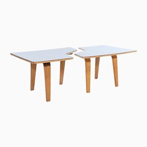 TB14 Combex Coffee Table by Cees Braakman for Pastoe, Set of 2