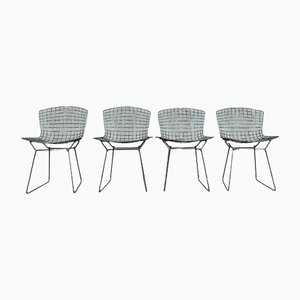 Chairs by Harry Bertoia for Knoll, 1960s, Set of 4