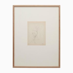 Dora Maar, Composición puntillista, siglo XX, Tinta sobre papel