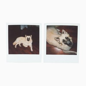Photographies Polaroid Miquel Arnal, Set de 2