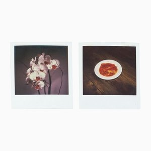 Miquel Arnal, Polaroid Photographs, 2er Set