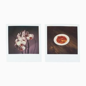 Miquel Arnal, Polaroid Photographs, Set of 2