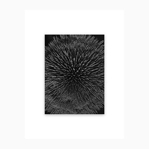Seb Janiak, Magnetic Radiation 99 (Medium), 2012, Pigment Print