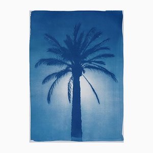 Kairo Citadel Palm, 2021, Cyanotype on Paper