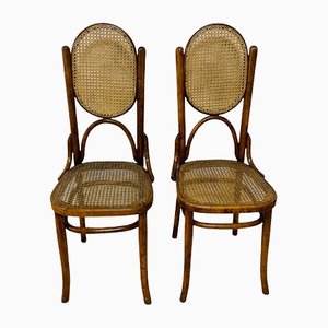 Arx Thonet Chairs from Gebrüder Thonet Vienna Gmbh, Set of 2