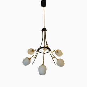 Brass Suspension Chandelier