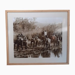 Hunting with Elephants, Photograph