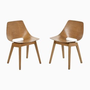 Chairs by Pierre Guariche, Set of 2