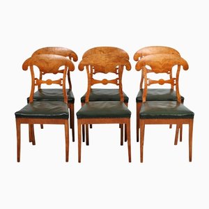 Swedish Biedermeier Golden Birch Honey Colour Dining Chairs, Set of 6, 1840s