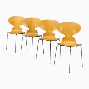 Modell 3100 Ant Stühle aus Schichtholz von Arne Jacobsen für Fritz Hansen, 1980er, 4er Set