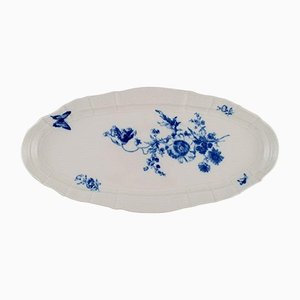 Grand Plat à Poisson du Début du 20ème Siècle en Porcelaine Peinte à la Main de Meissen