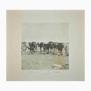 Bettino Craxi, Tunisian Camels, Original Photolithograph, 1990s