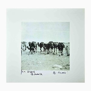 Bettino Craxi, Tunisian Camels, Original Photolithograph, 1990s