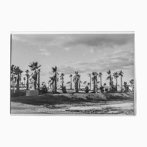 Serena Zeppilli, Tre Archi_02_2021, Original Photograph