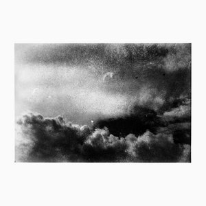 Serena Zeppilli, Expired_14_2020, Original Photograph
