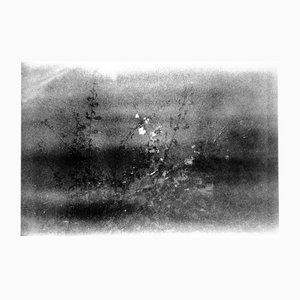 Serena Zeppilli, Expired_08_2020, Original Fotografie, 2020