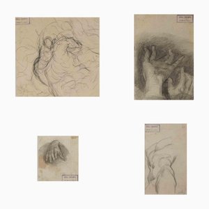 Luigi Galli, Anatomical Studies, Original Drawing, Late 19th-Century