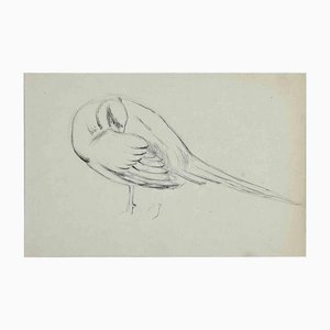 Eugène Juillerat, Sleeping Bird, Drawing, 1920