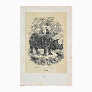 Paul Gervais, Hippopotamus Unicorn, Original Lithograph, 1854