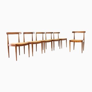 Chaises Modèle 500 par Alfred Hendrickx pour Belform, 1961, Set de 6