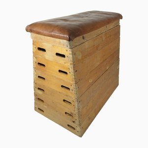Antique Wooden and Leather Gymnastic Box with a Jumping Hill, 1930s