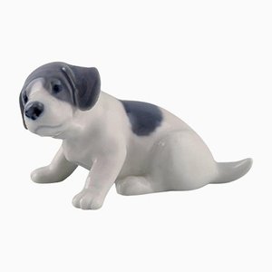 Porcelain Figurine Pointer Puppy from Royal Copenhagen, Early 20th Century