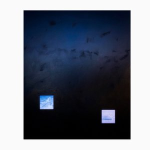 Alex Manea, Achilles and the Tortoise, 2021, Acrylic, Enamel, Lacquer & Solar Print on Canvas