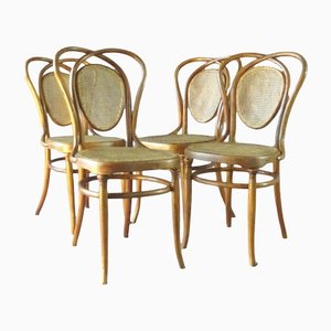 Chairs by Kohn for Jacob & Josef Kohn, Set of 4