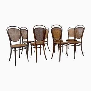 Austrian Bentwood Caning Chairs by Thonet, 1930s, Set of 8