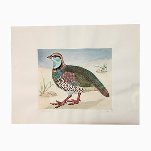 Animal Paintings, 20th-Century, Watercolor on Paper, Set of 2