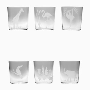 Engraved Jungle Glasses from Casarialto, Set of 6