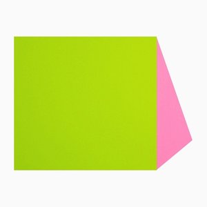 Brent Hallard, cuerda (verde y rosa), 2011, acrílico sobre aluminio