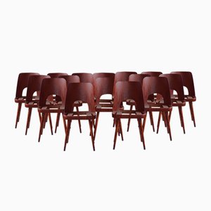Dining Chairs by Oswald Haerdtl, Set of 16