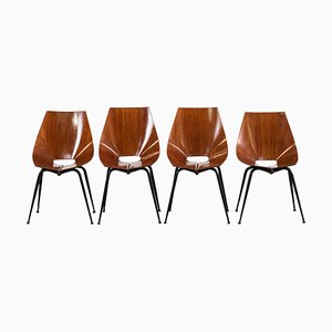 Mid-Century Modern Dining Chairs from Società Compensati Curvati, 1950s, Set of 4