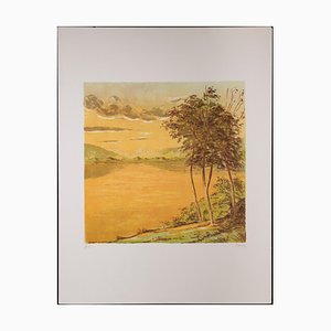 Mario Sportelli, Lake, Original Lithograph, 1970