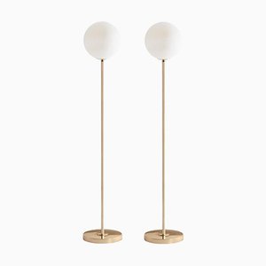 Brass 06 Dimmable Floor Lamp by Magic Circus Editions, Set of 2