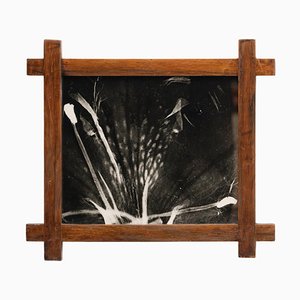 Enrico Garzaro, Flora Series Image, 2015, Photographie Noir et Blanc