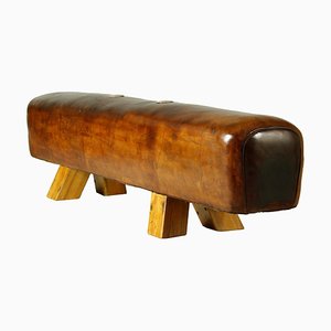 Vintage Leather Pommel Horse or Bench