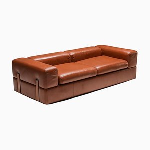 Postmodern Two-Seater Sofa in Cognac Leather by Tito Agnoli for Cinova, 1960s