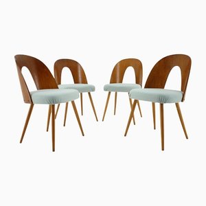 Czechoslovakian Dining Chairs by Antonin Suman, 1960s, Set of 4