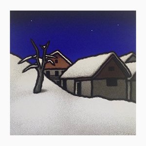 Seconda neve, 1995 Tino Stefanoni