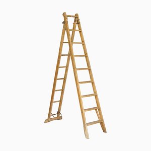 Escalera de decorador de The Patient Safety Ladder Company