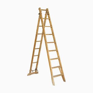 Scala da decoratore di The Patient Safety Ladder Company