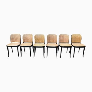 Suuds & Life Chairs by Michael Thonet, Set of 6